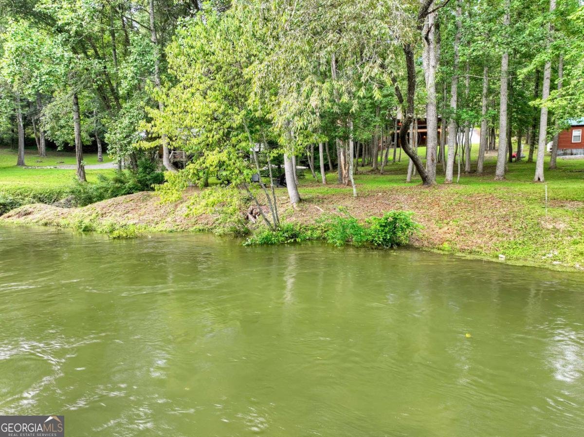 125 Blackberry Drive Mineral Bluff - 43