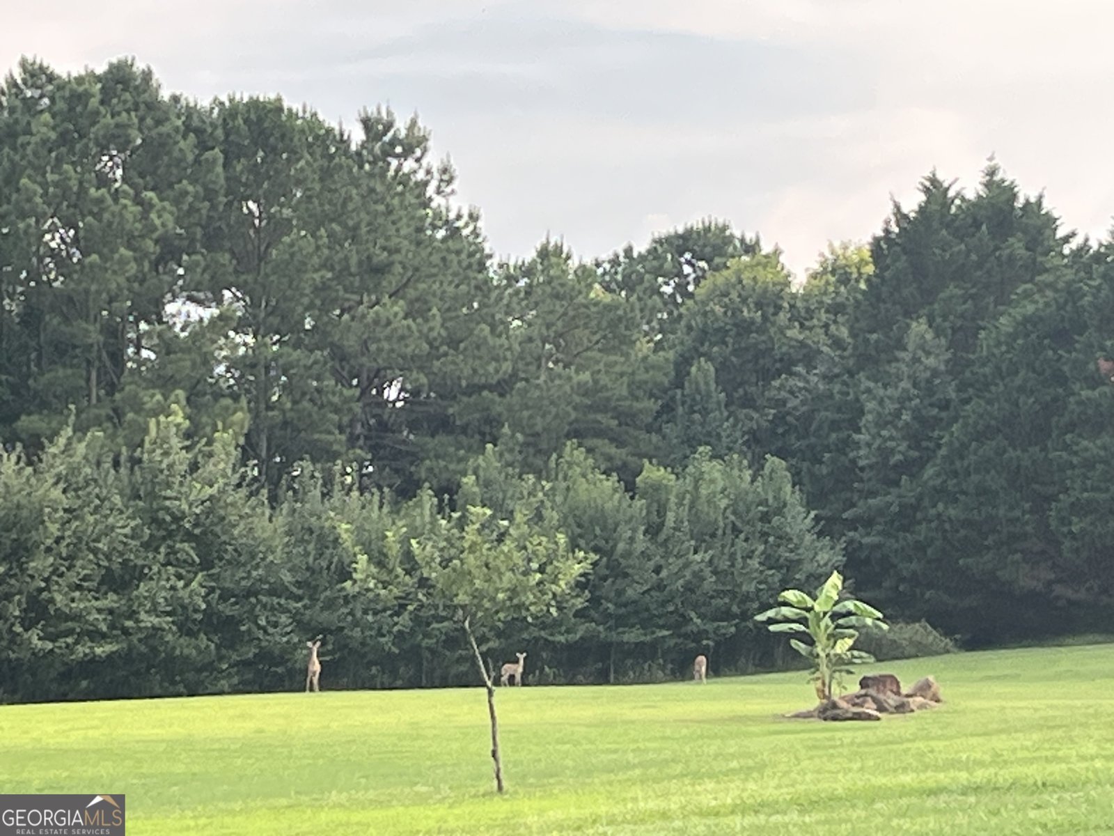 490 County Line Road Griffin - 22