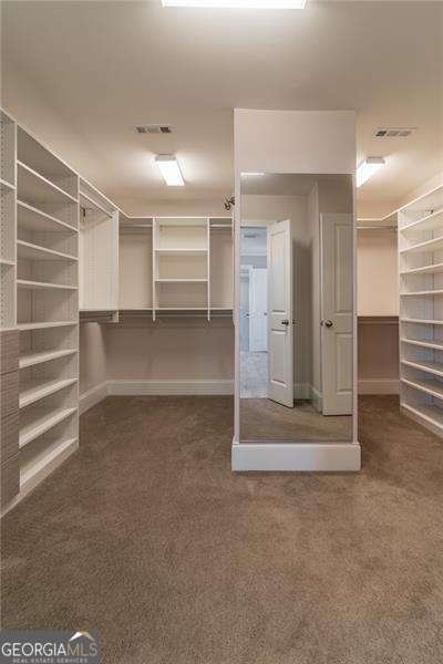 320 Harvest View Terrace Woodstock - 25