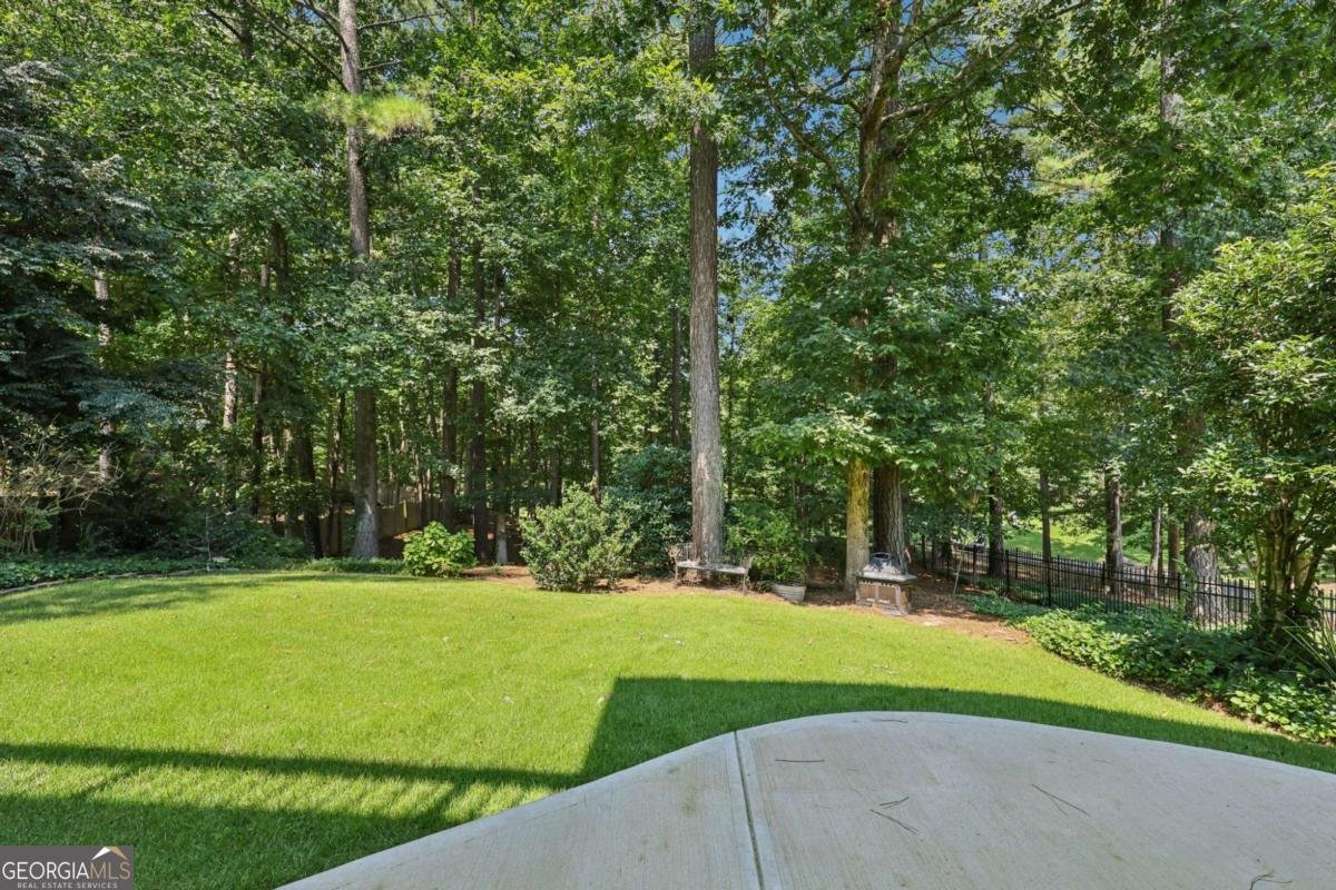 106 Birchwood Pass Canton - 11