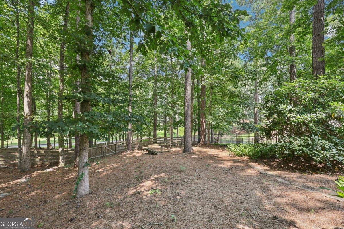 106 Birchwood Pass Canton - 14