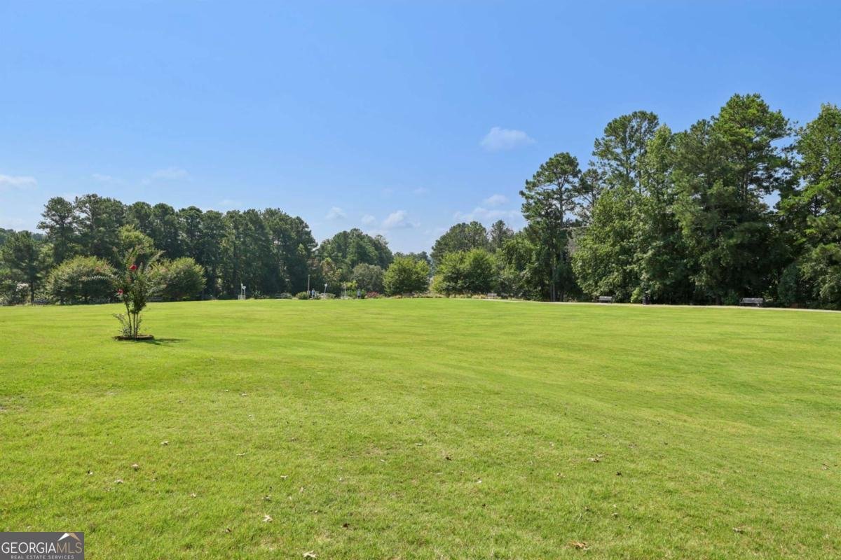 106 Birchwood Pass Canton - 21