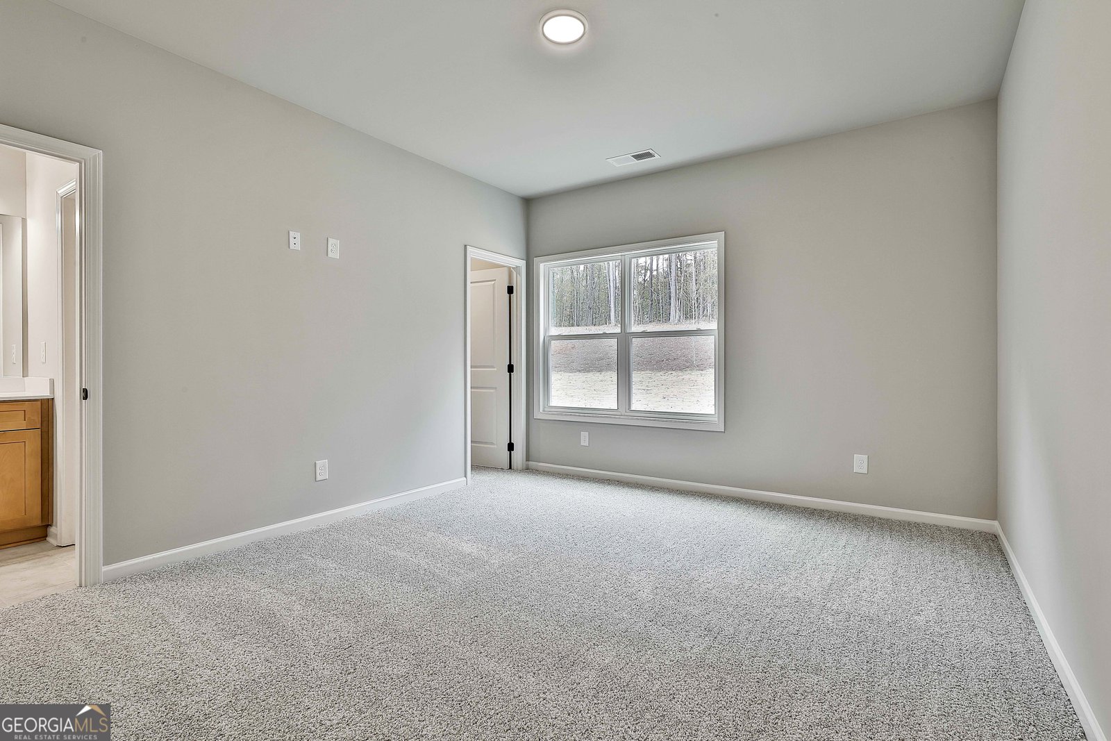 66 Belle Hall Drive Newnan - 22