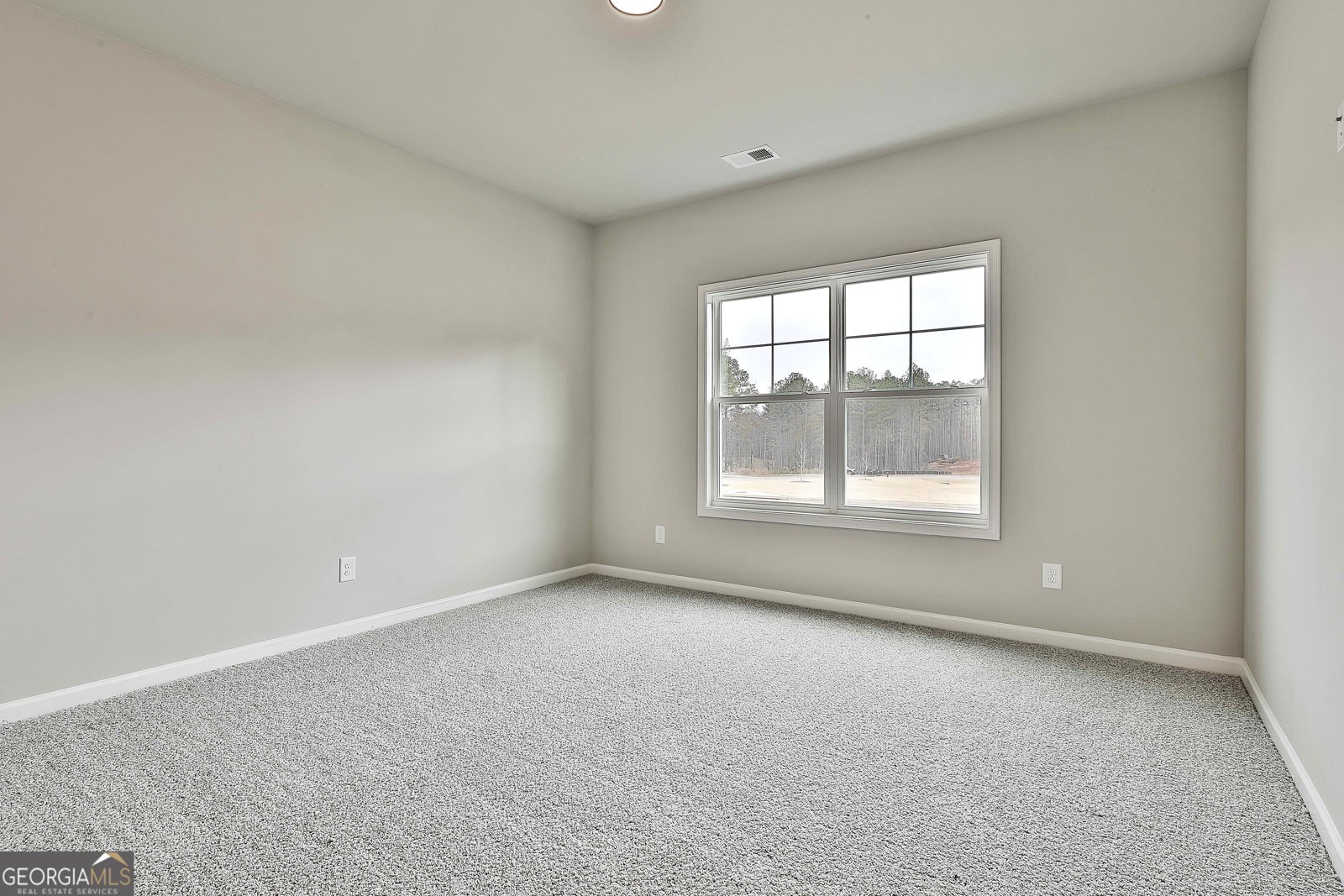 66 Belle Hall Drive Newnan - 31