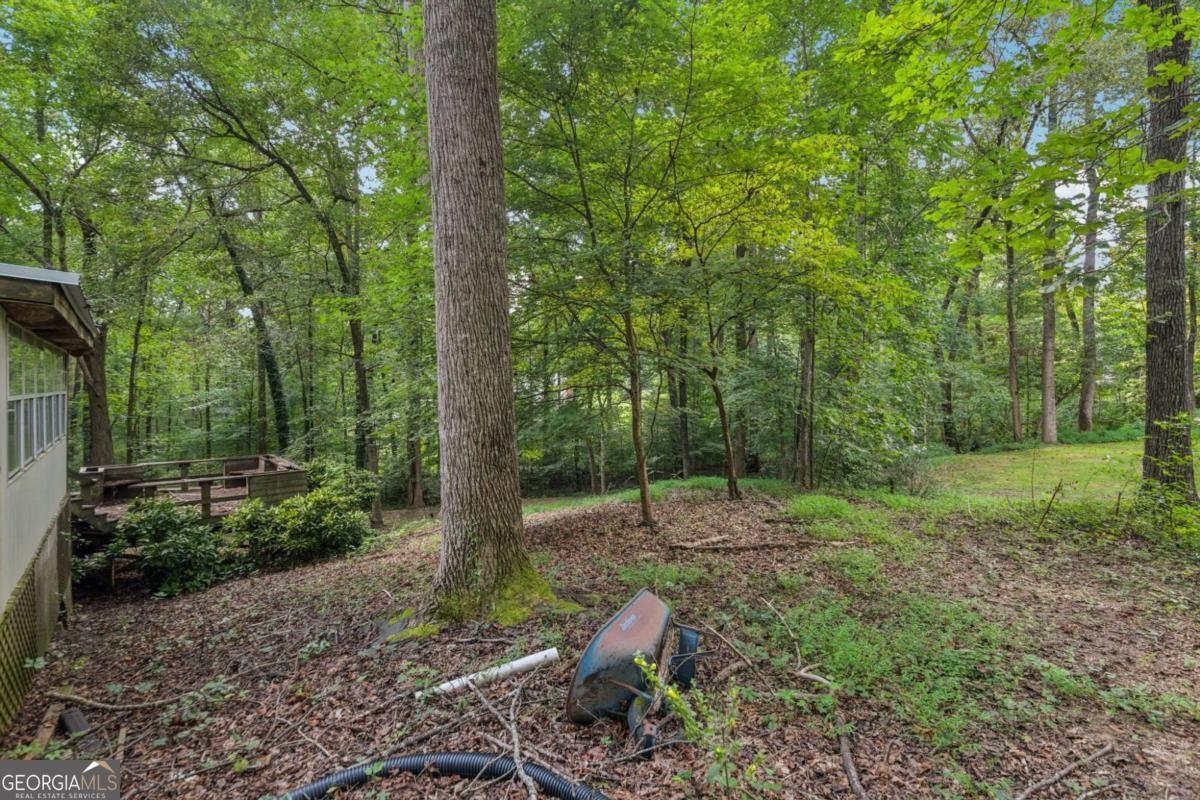 107 Bunnie Trail Ellenwood - 46