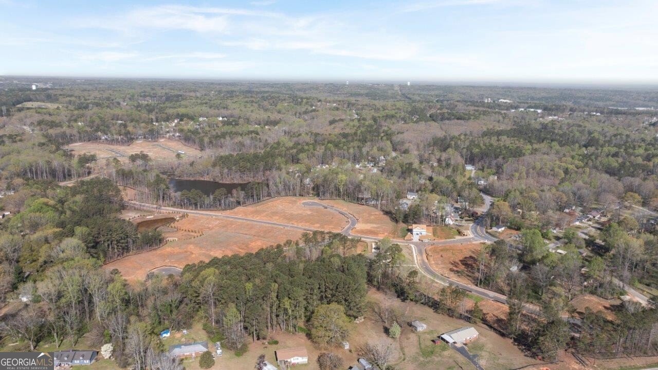 3956 Fairhaven Road Lithia Springs - 27