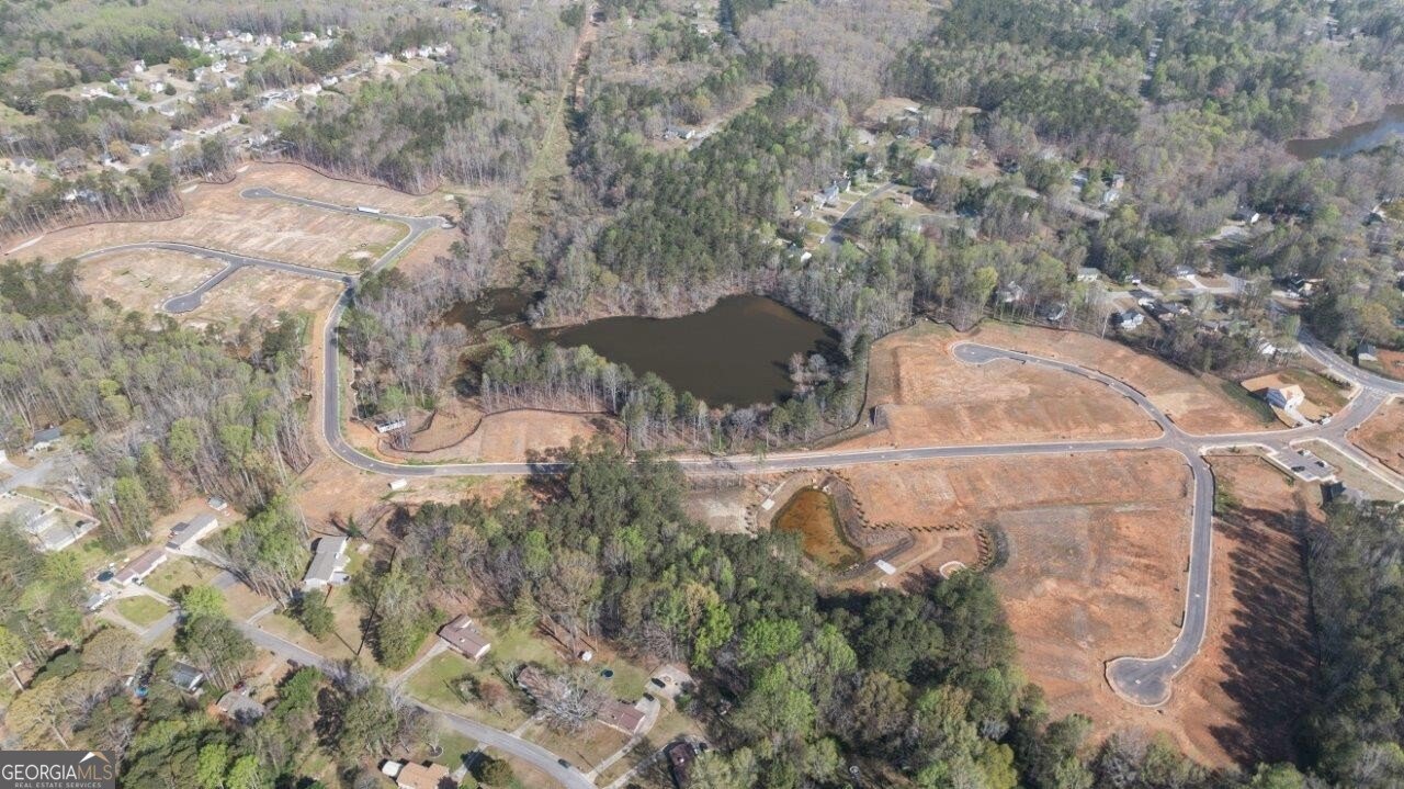 3956 Fairhaven Road Lithia Springs - 31