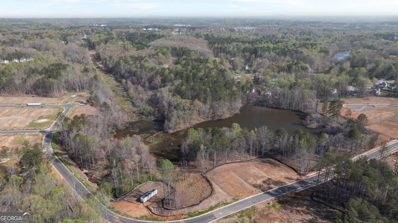 3956 Fairhaven Road Lithia Springs - 36