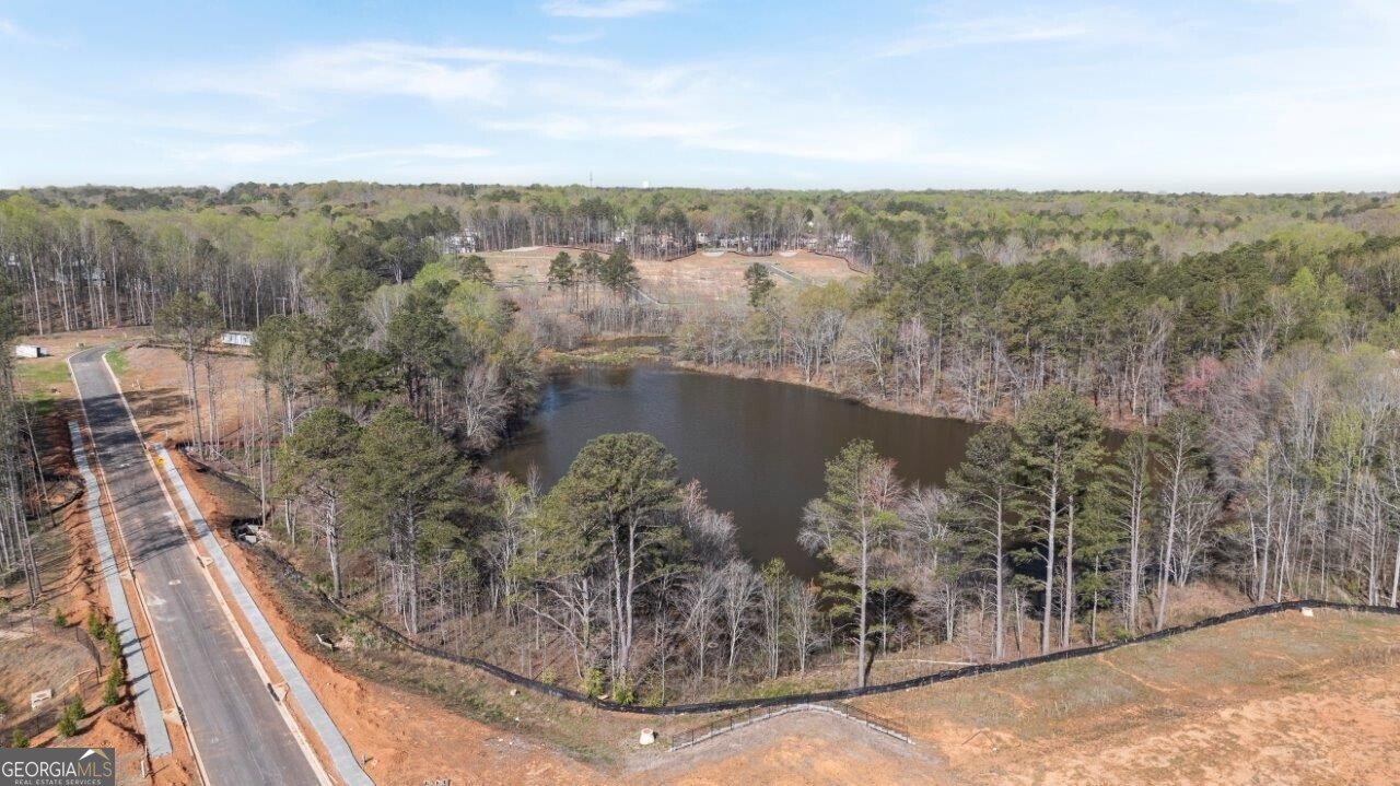 3956 Fairhaven Road Lithia Springs - 37