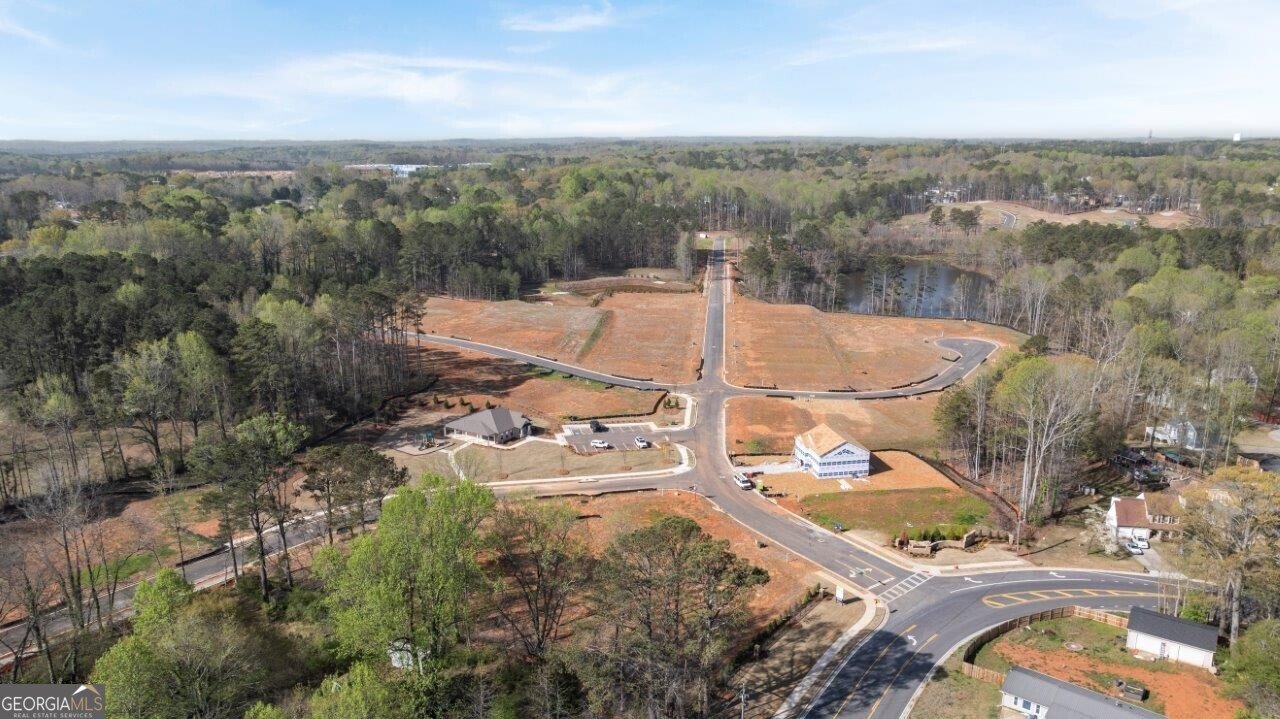 3956 Fairhaven Road Lithia Springs - 4
