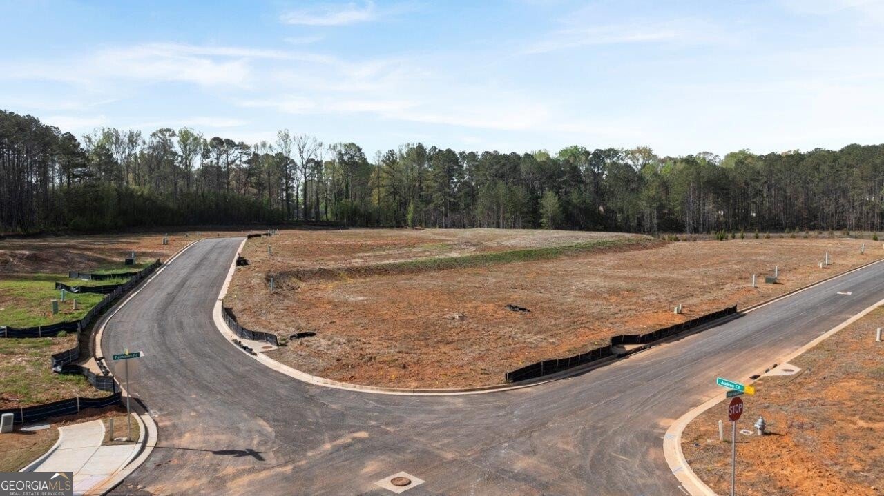 3956 Fairhaven Road Lithia Springs - 40