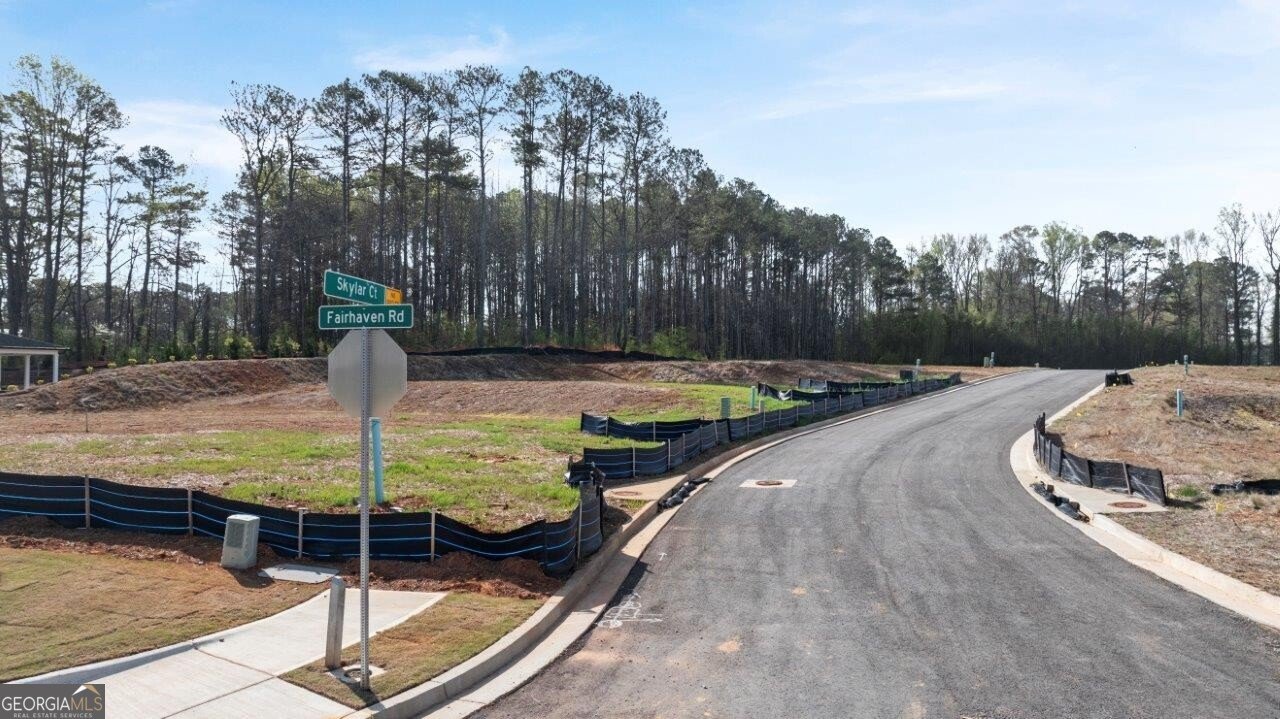 3956 Fairhaven Road Lithia Springs - 41