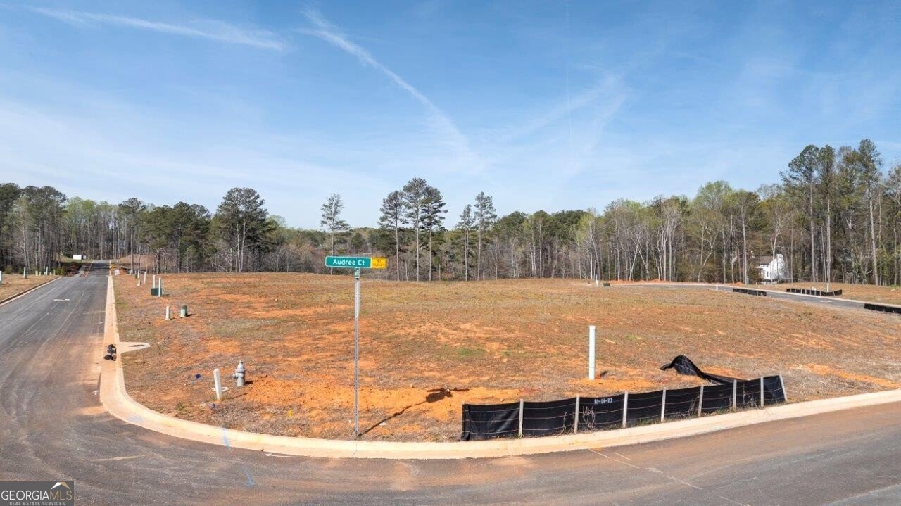 3956 Fairhaven Road Lithia Springs - 42