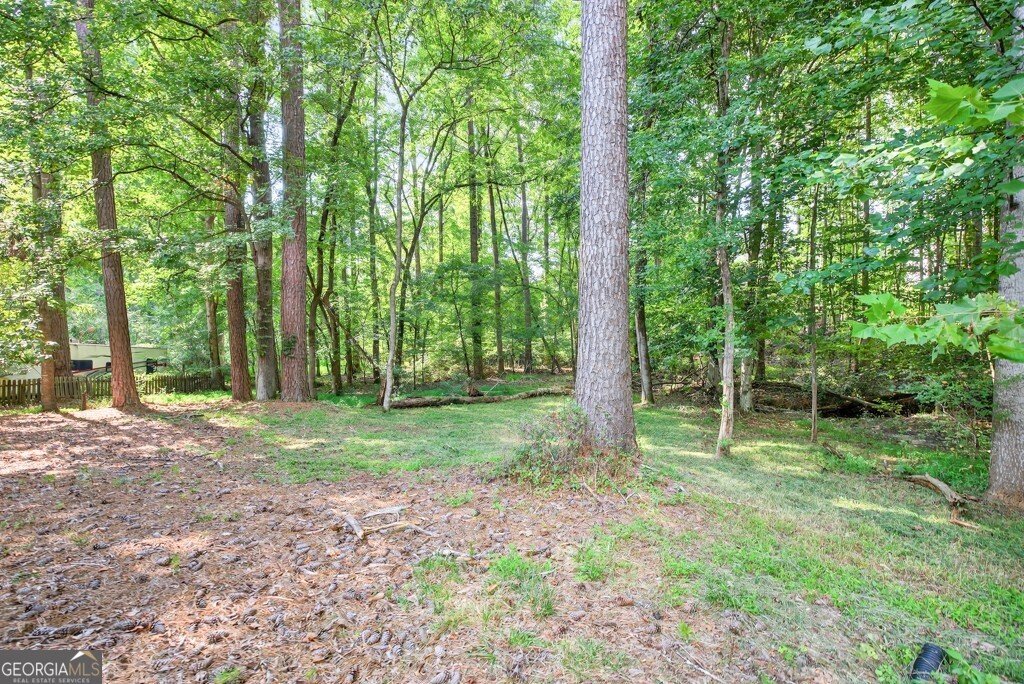 180 Timber Oak Cove Lawrenceville - 52
