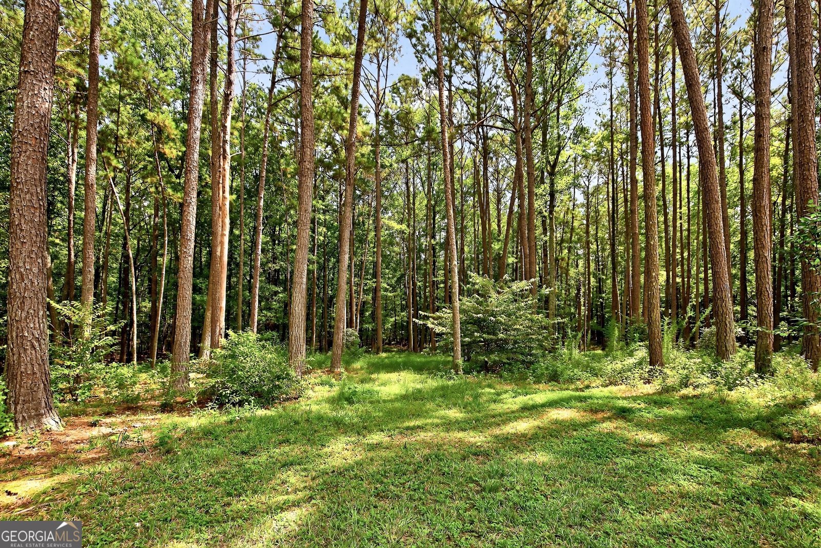 684 Brooks Woolsey Road Brooks - 11