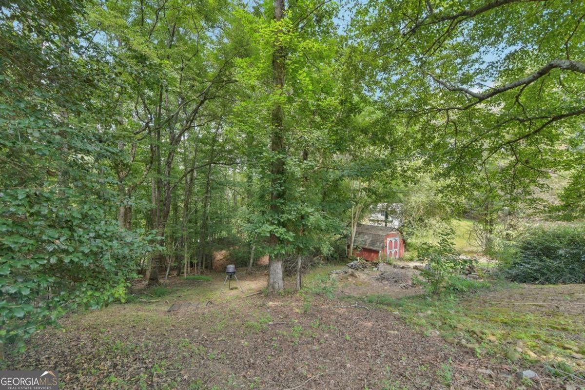 34 Instigator Cove Dawsonville - 14