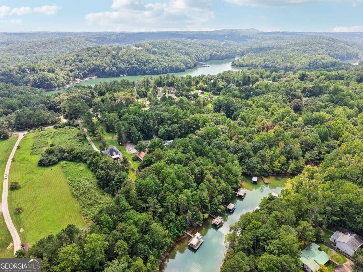 34 Instigator Cove Dawsonville - 23