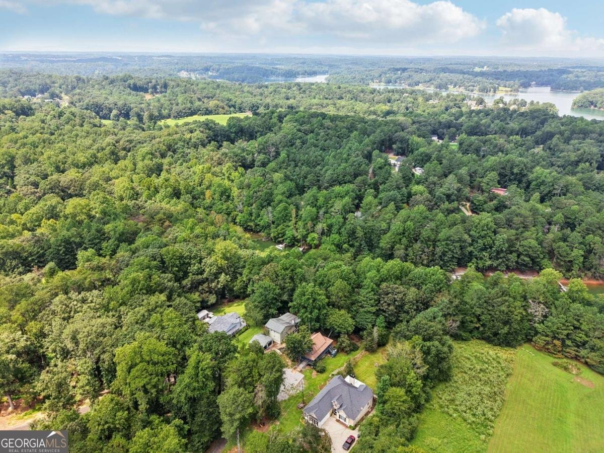 34 Instigator Cove Dawsonville - 25
