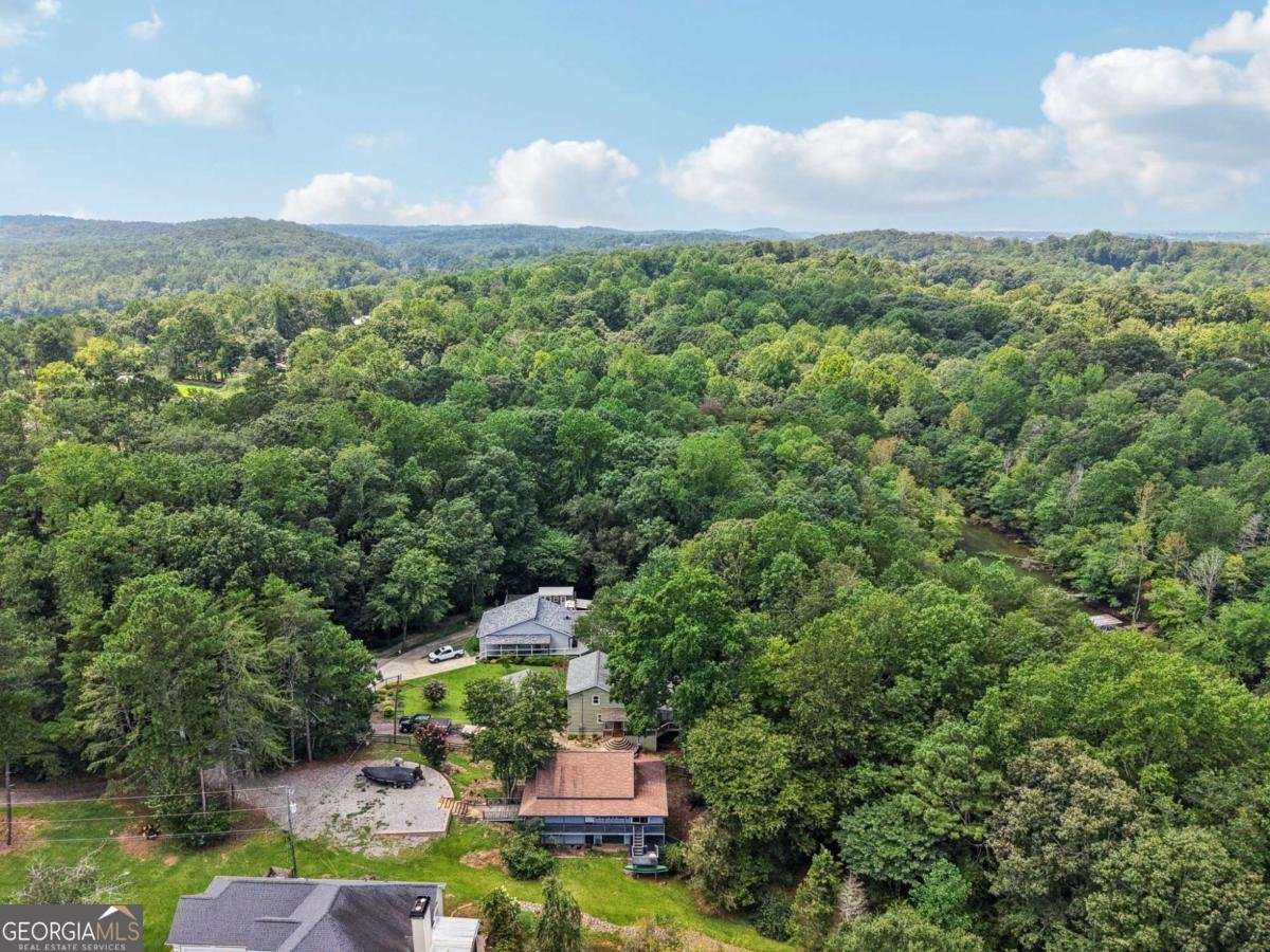 34 Instigator Cove Dawsonville - 28