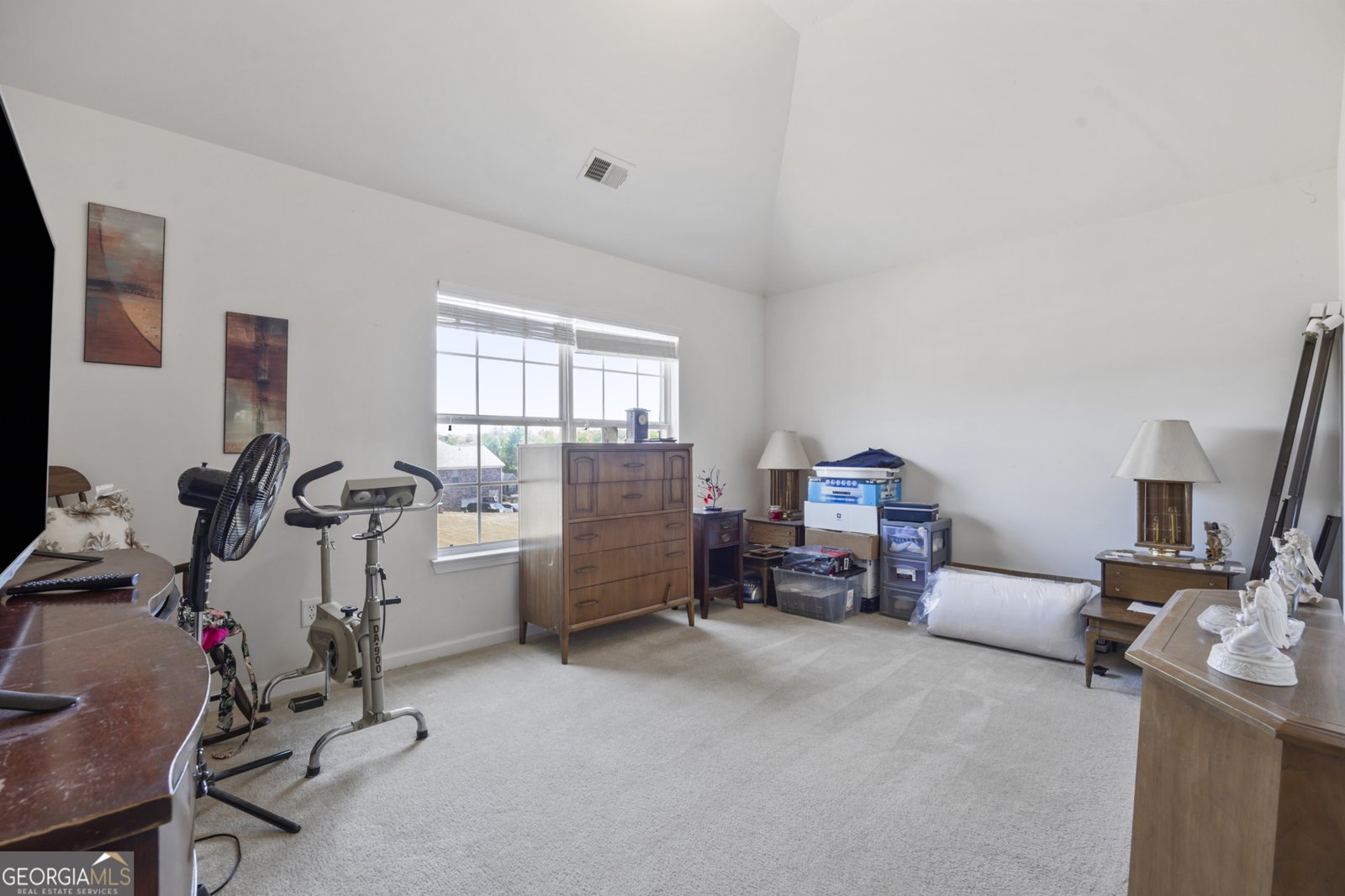 3868 Arolla Lane Douglasville - 10