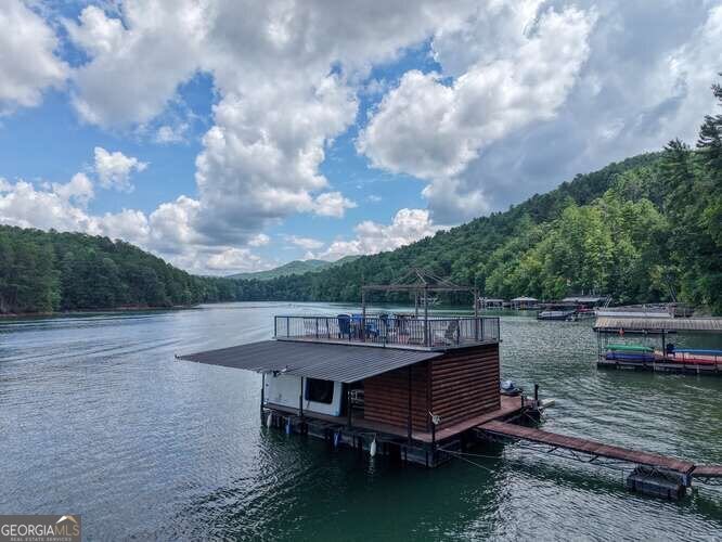 514 Browns Cove Road Blue Ridge - 43