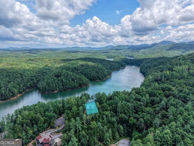 514 Browns Cove Road Blue Ridge - 69