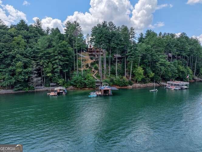 514 Browns Cove Road Blue Ridge - 71