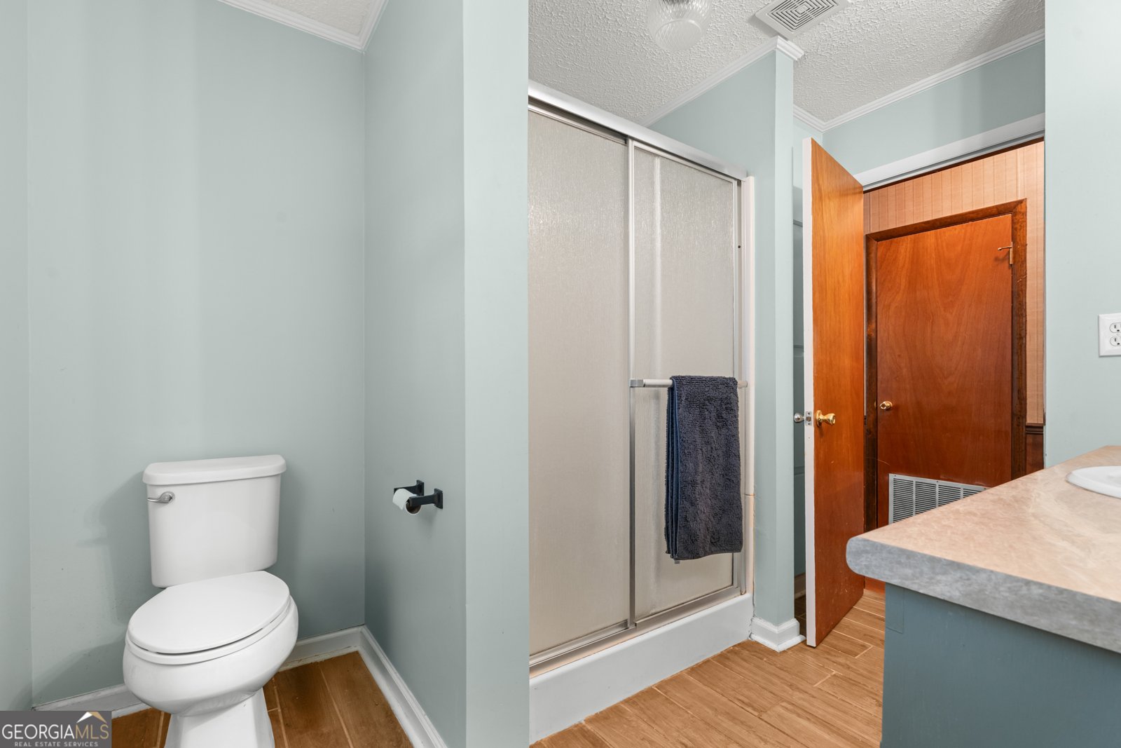 184 Sawgrass Road Sylvania - 15