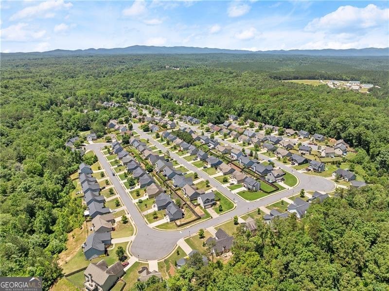 8 Swanson Street Dawsonville - 12