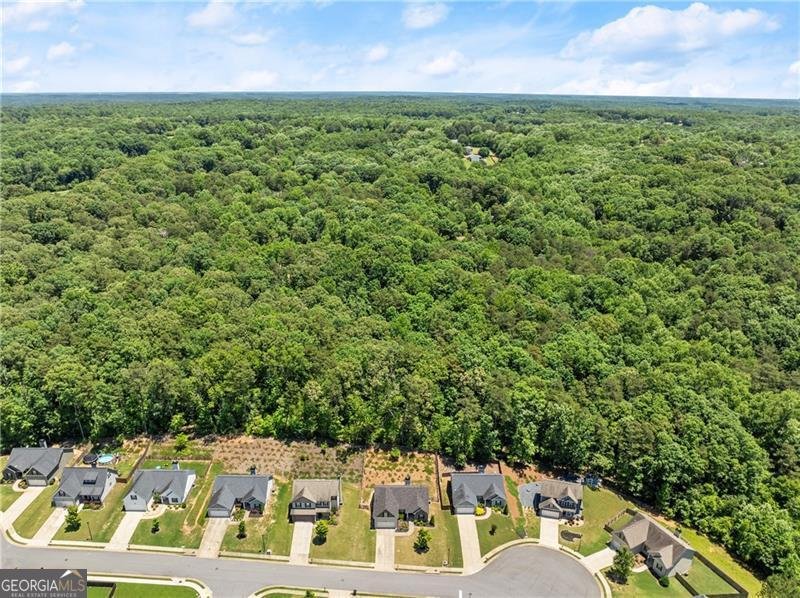 8 Swanson Street Dawsonville - 13