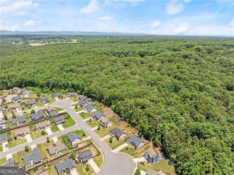 8 Swanson Street Dawsonville - 14