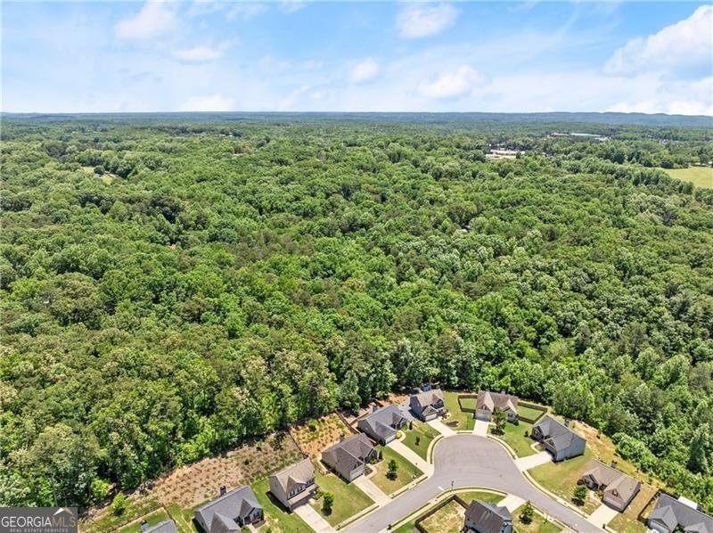 8 Swanson Street Dawsonville - 15
