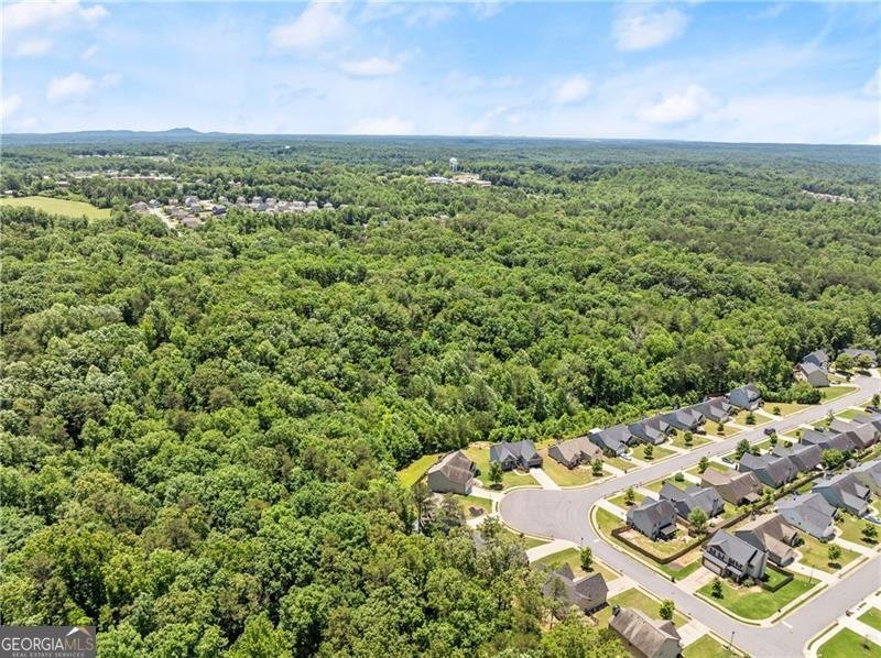 8 Swanson Street Dawsonville - 16