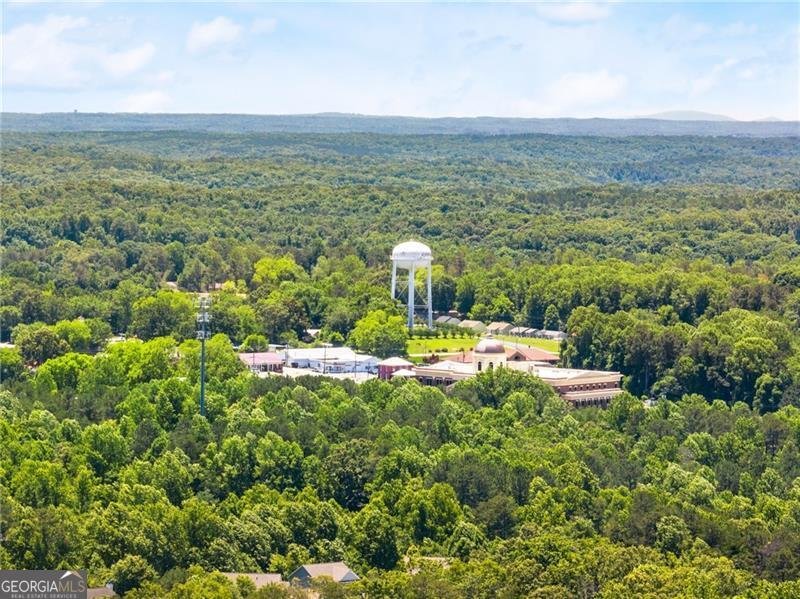 8 Swanson Street Dawsonville - 17