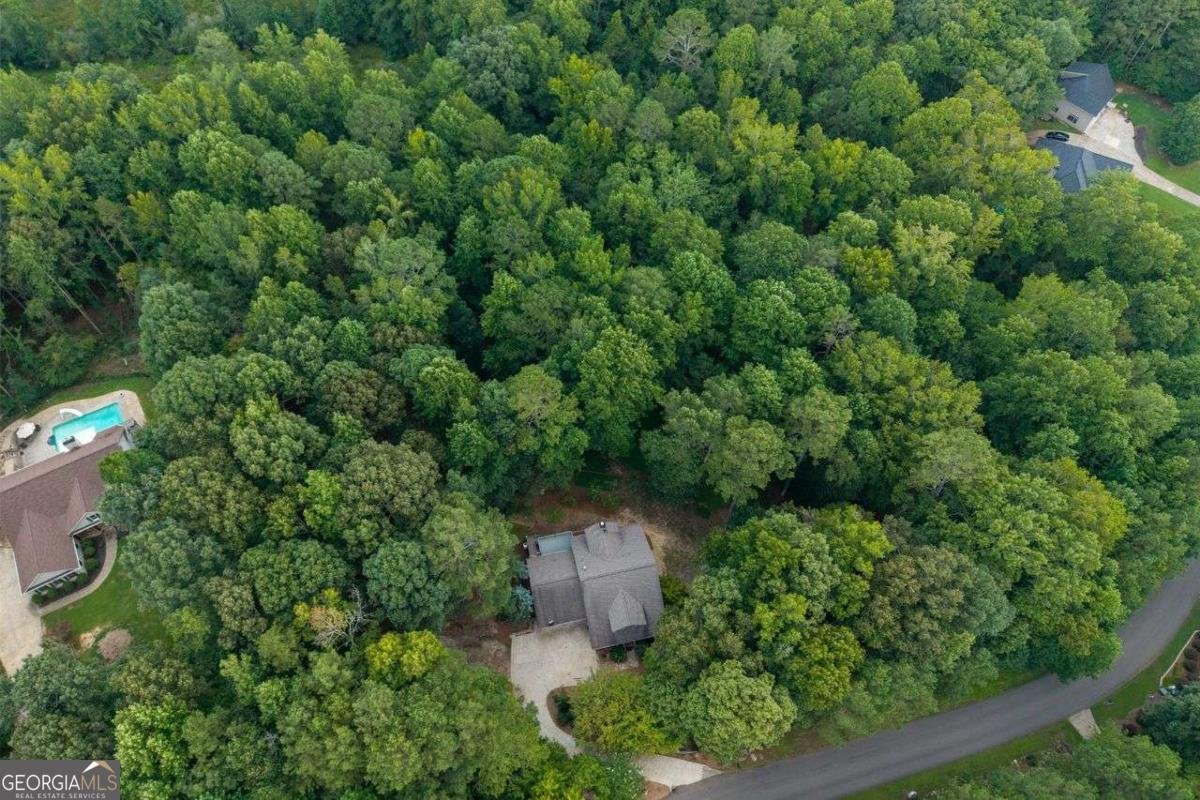 240 PROSPECTOR Way Ball Ground - 1