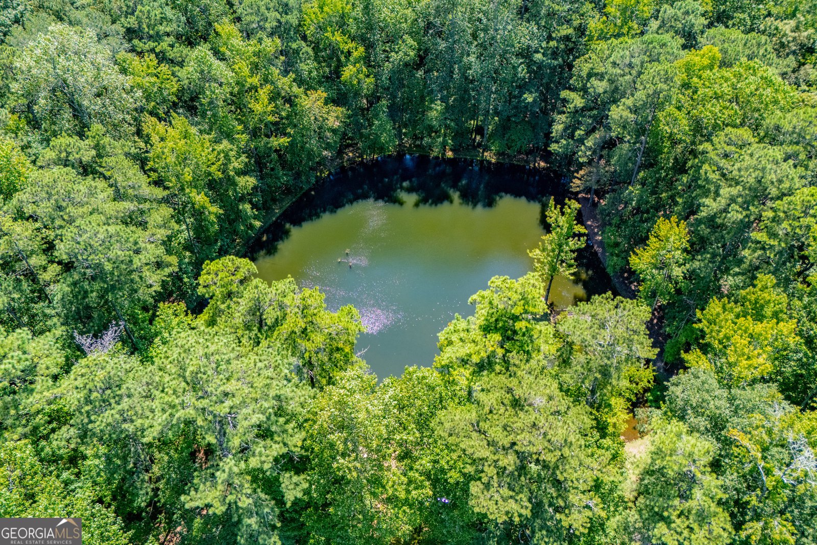 434 Foggy Bottom Drive Carrollton - 15