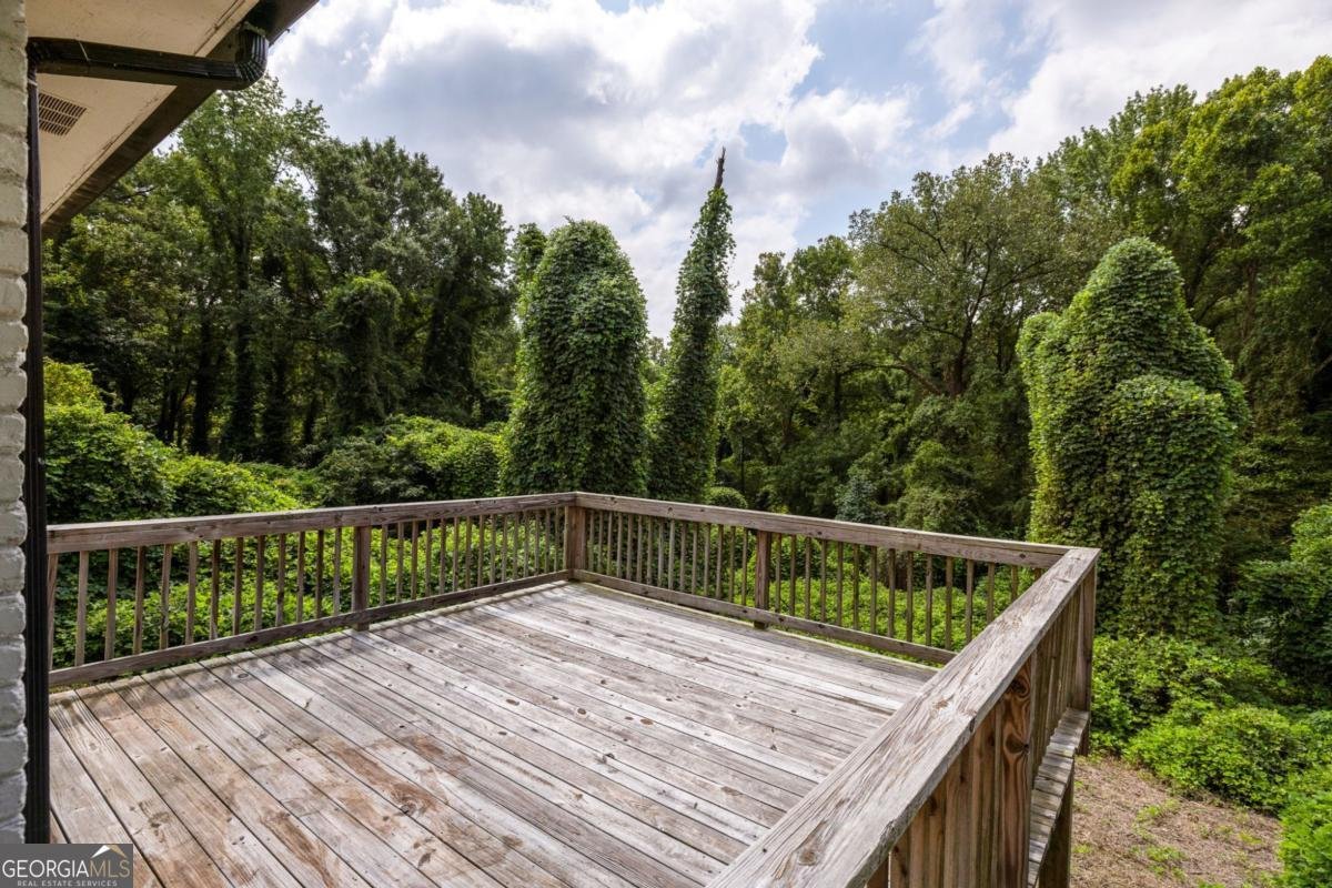 2913 Santa Monica Drive Decatur - 17
