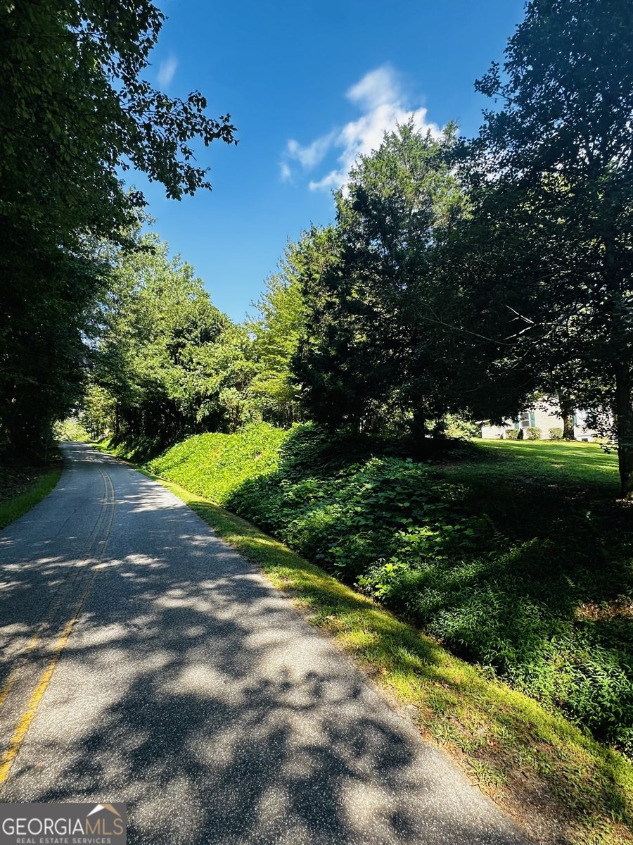 368 Dixon Road Demorest - 7