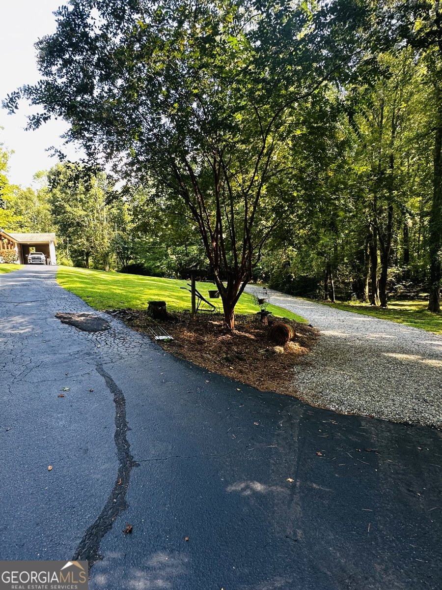 368 Dixon Road Demorest - 8