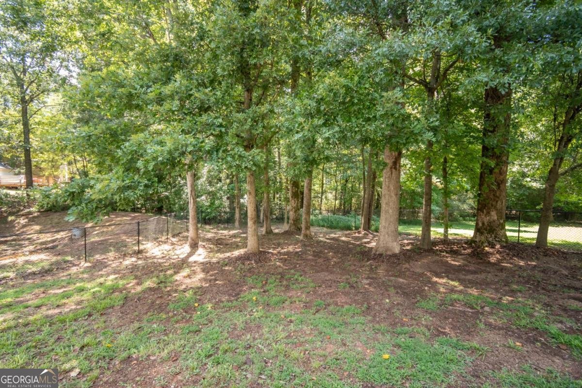 162 Azalea Drive Winder - 35