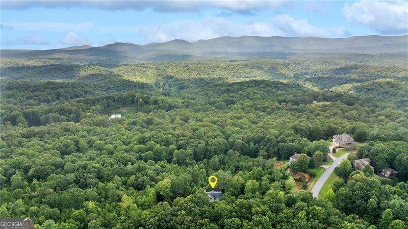 637 Amicalola Drive Dawsonville - 56