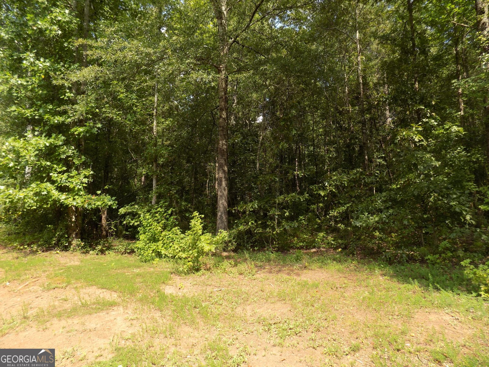 529 Knollwood Griffin - 26