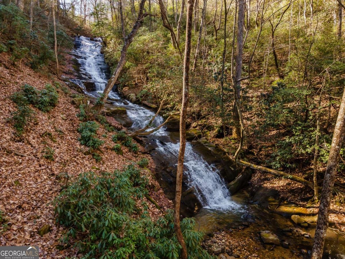 185 Huckleberry Cove Road Jasper - 7