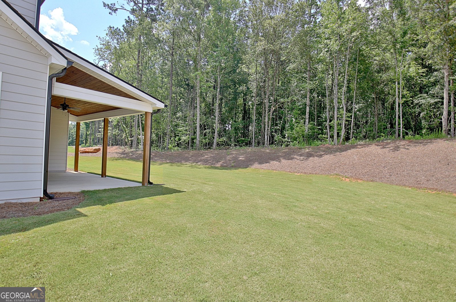 98 Ryeland Drive Senoia - 35