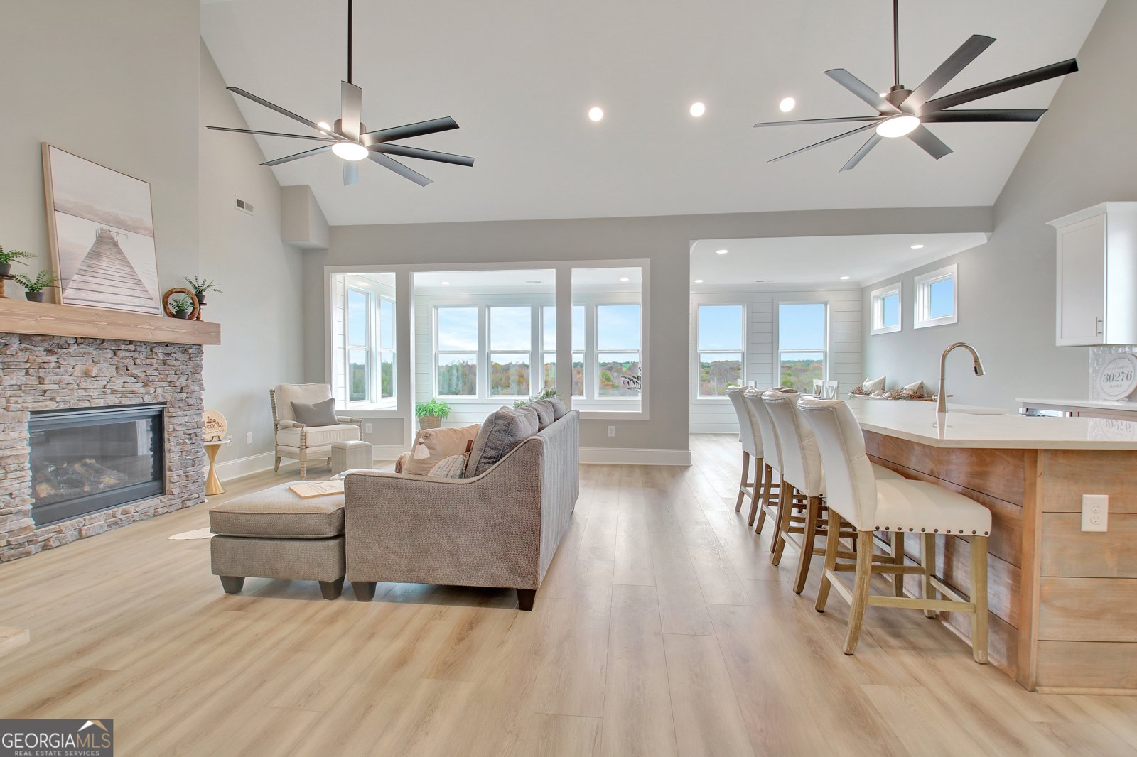 55 Crest Haven Court Senoia - 4