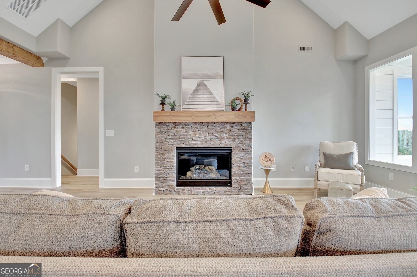 55 Crest Haven Court Senoia - 6