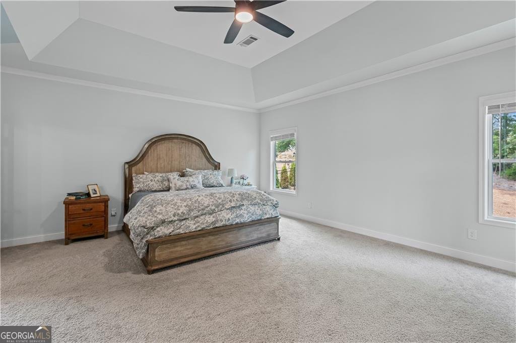 3169 Mulberry Greens Lane Jackson - 25