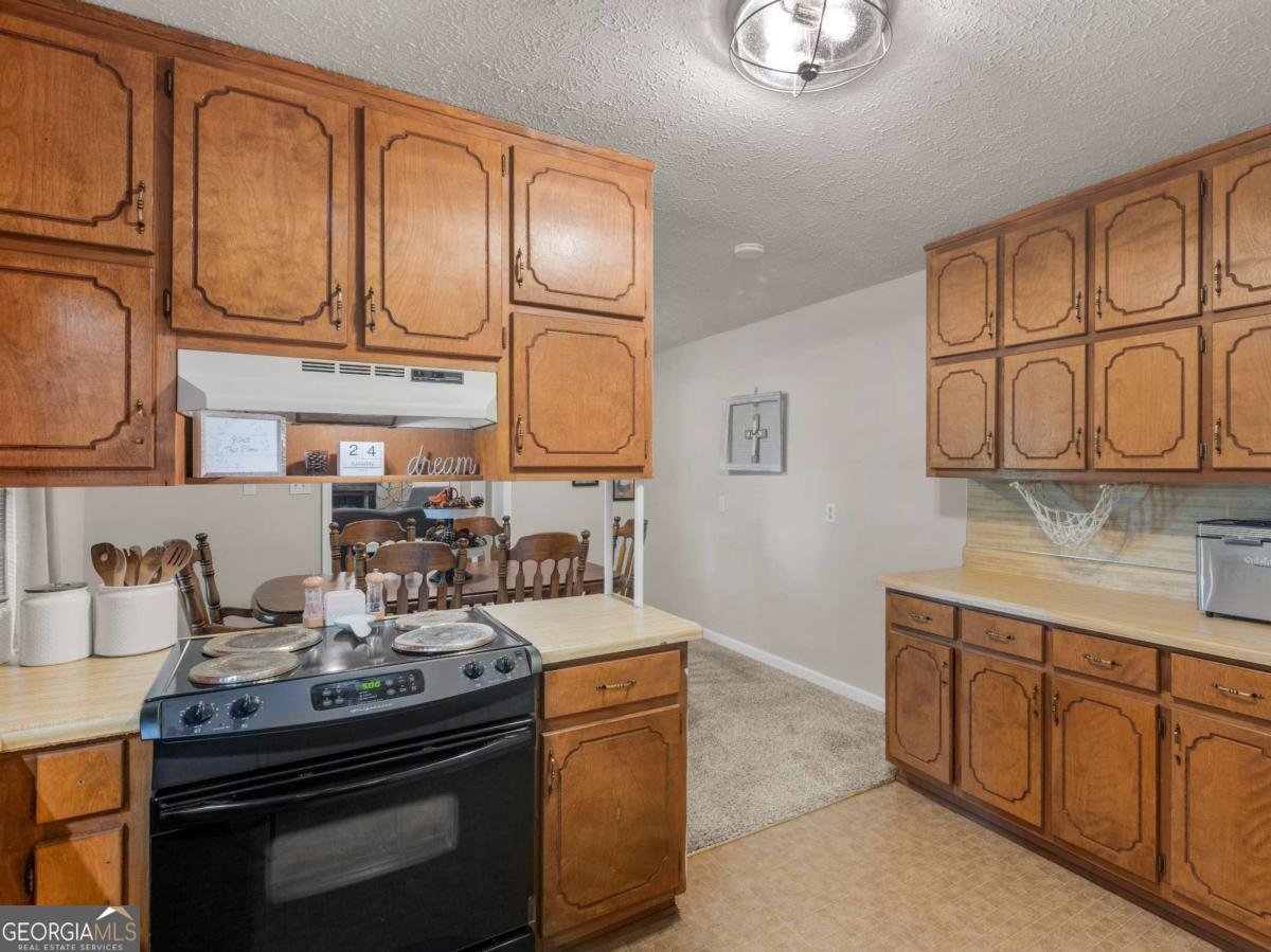 1000 Coan Drive Locust Grove - 17