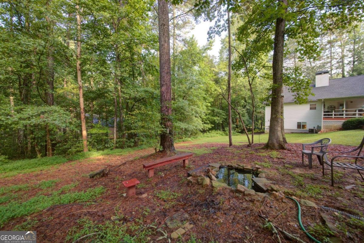 369 Fairfax Court Dawsonville - 33