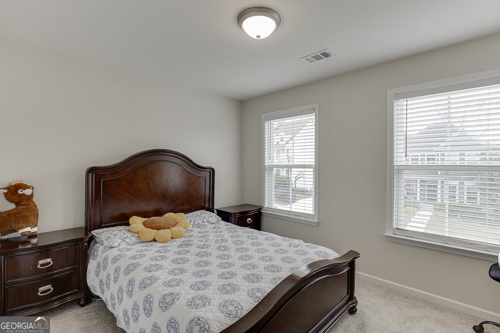 6438 Hickory Branch Drive Hoschton - 22